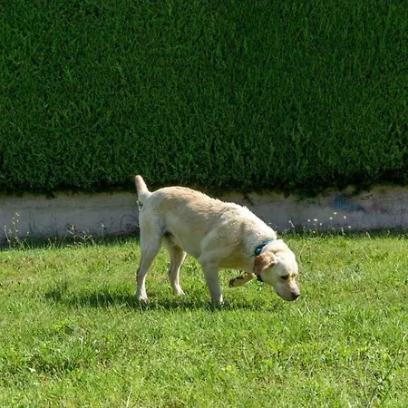 アパート In With Terrace, Air Conditioning, Wifi, Washing Machine ポレッチ