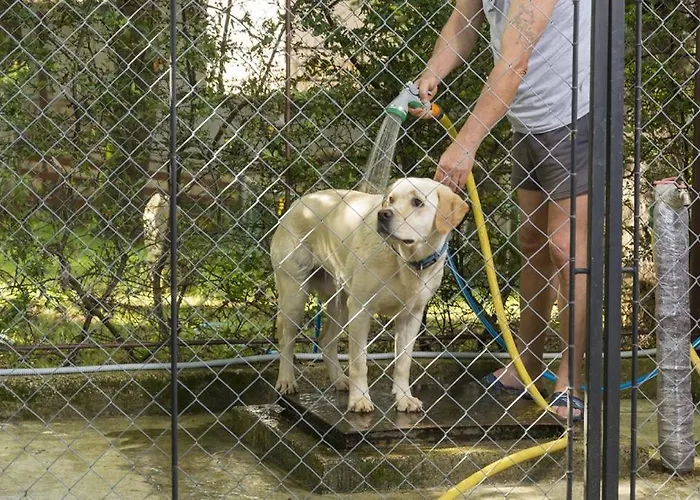 Appartamento In With Terrace, Air Conditioning, Wifi, Washing Machine
