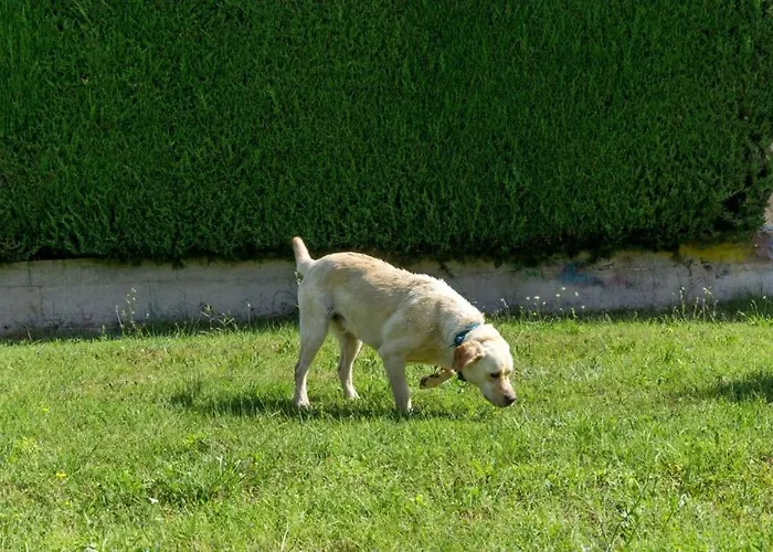 Appartamento In With Terrace, Air Conditioning, Wifi, Washing Machine Porec